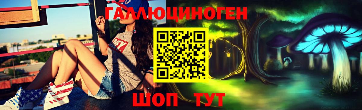 Псилоцибиновые грибы прущие грибы  где продают наркотики  Улан-Удэ  Галлюциногенные грибы GOLDEN TEACHER  Вход с VPN 